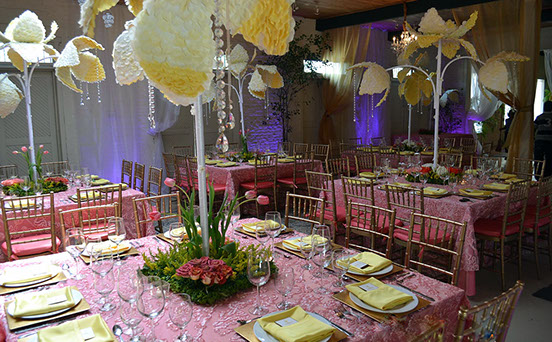 Alonso Building reception setup